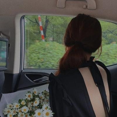 芝拉克2015